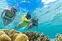 Great Barrier Reef snorkelling