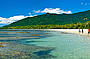 Cape Tribulation Beach 